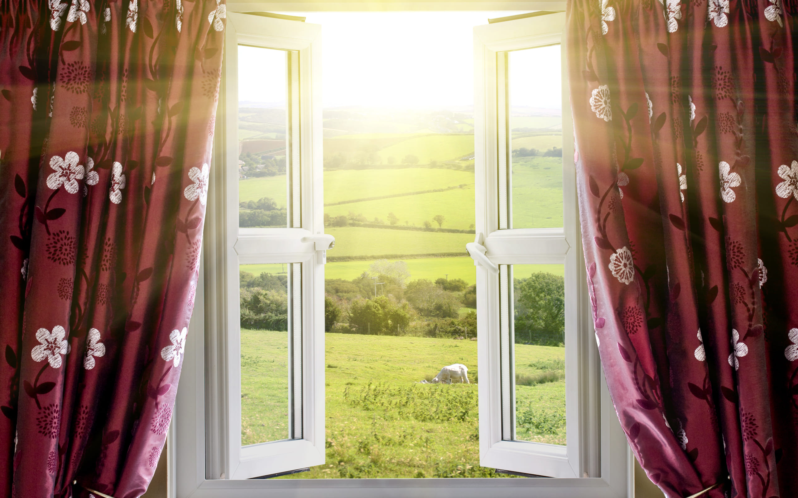 rabstol_net_window_07-1 